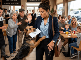 La traición no llegó en una voz humana, sino en la mandíbula temblorosa de un perro callejero que dejó un sobre blanco a los pies de Emma como si hubiera tardado años en encontrarla.