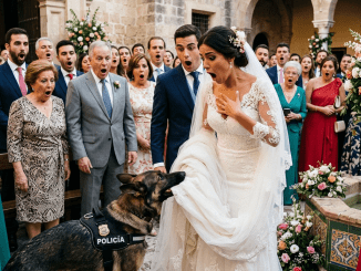 La humillación más cruel no la sufrió la novia cuando el perro policía le arruinó la ceremonia, sino el novio cuando el animal se plantó frente a él, enseñó los dientes y olfateó en su traje un secreto capaz de volarles la vida a todos.